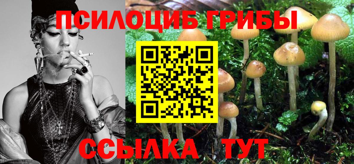 Галлюциногенные грибы мухоморы Йошкар-Ола