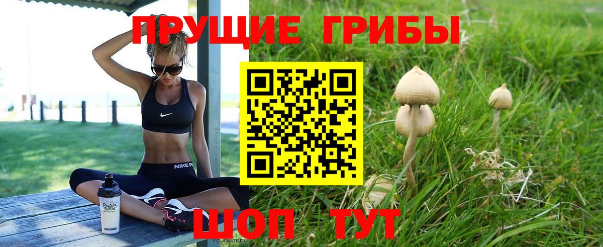 Йошкар-Ола  Галлюциногенные грибы Magic Shrooms  Вход с VPN  Галлюциногенные грибы прущие грибы 
